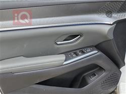 بي واي دي ‎سونغ برو DM-i